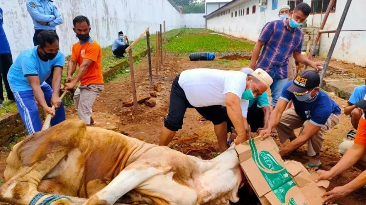 Wajib Tahu, Ini Sederet Dampak Limbah Kurban Terhadap Lingkungan