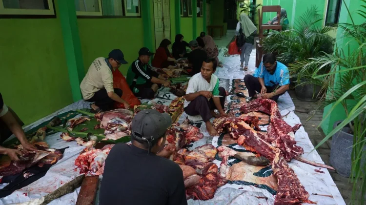 Cegah Pencemaran Lingkungan, Penanganan Limbah Kurban Harus Ditangani Khusus