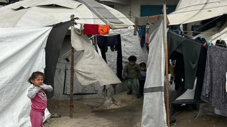 Iduladha di Gaza Dibayangi Perang, Tidak Menyembelih Hewan Kurban