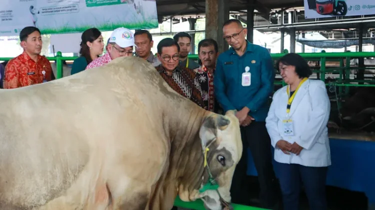 Dharma Jaya Dorong Rumah Potong Modern di Seluruh Jakarta