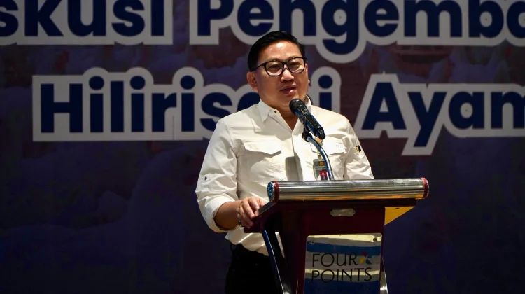 Bone Jadi Percontohan Hilirisasi Ayam Nasional
