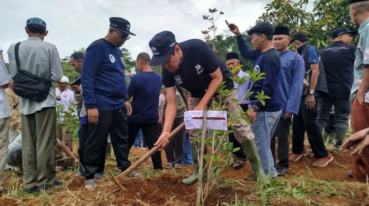 JAI Tanam Puluhan Ribu Pohon Kopi Dorong Ekonomi Warga Cianjur