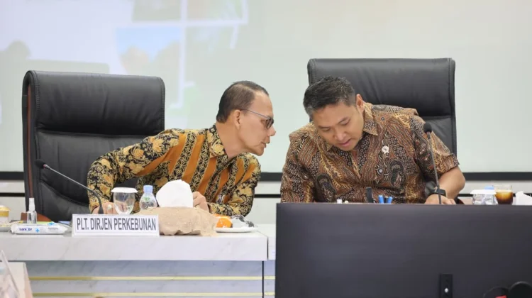 Beli Tandan Buah Segar Murah, Wamentan Ancam Cabut Izin Pabrik Kelapa Sawit