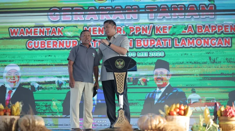 Stok Beras RI Tembus Aman untuk Hadapi El Nino