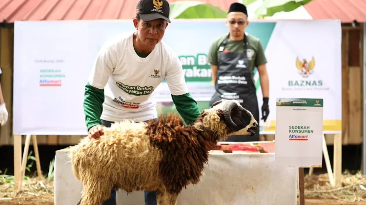 BAZNAS-Alfamart Distribusikan Paket Daging Kurban hingga ke Desa Terpencil
