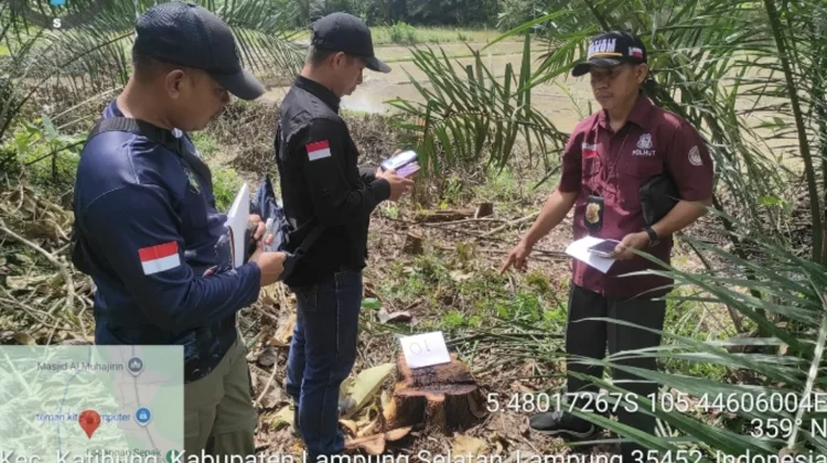 Gakkum Kehutanan Tangkap 2 Pelaku Illegal Logging di Hutan Lindung Lampung