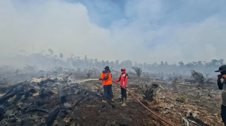 BNPB Catat Karhutla Terjadi di Tiga Kabupaten di Wilayah Aceh