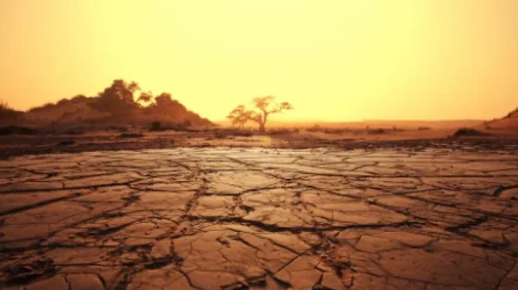WMO: Peluang El Nino Kembali Capai 90 Persen sebelum November