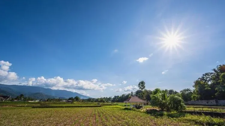 BMKG: 200 Zona Musim Indonesia Resmi Masuk Kemarau, Ini Rincian Wilayahnya