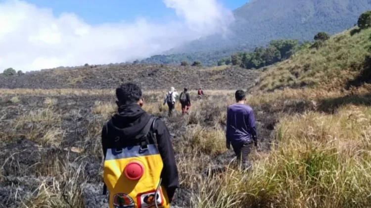Karhutla di Savana Rinjani Berhasil Dipadamkan, BNPB Imbau Patroli Diperketat