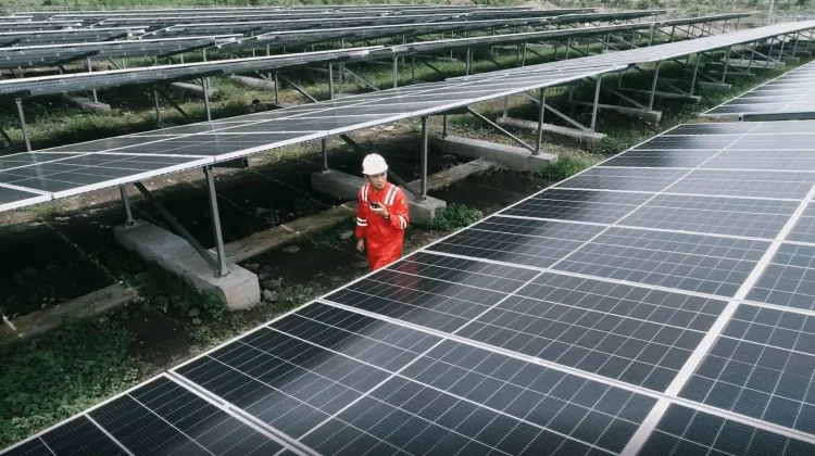 PLN Indonesia Power Bidik Ekspansi Energi Amerika Latin