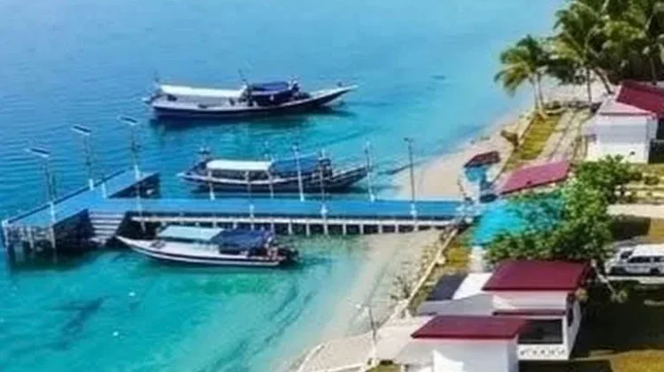 Apa Itu Upwelling? Fenomena Laut yang Membuat Perairan Kaya Ikan