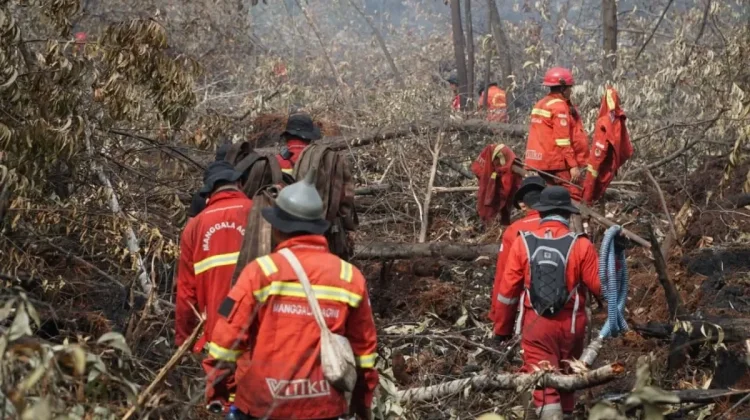 Manggala Agni Lanjutkan Pemadaman Karhutla 108 Hektare di Pulau Rupat