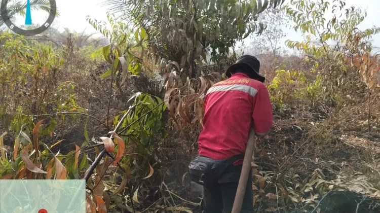 Karhutla 108 Hektare di Pulau Rupat Riau Berhasil Dipadamkan