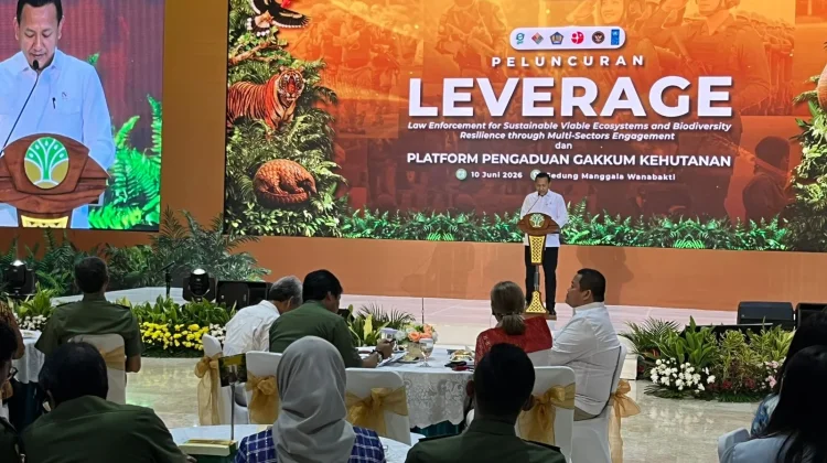 Rp236 Miliar Digelontorkan, Sumatra Jadi Prioritas Penyelamatan Hutan