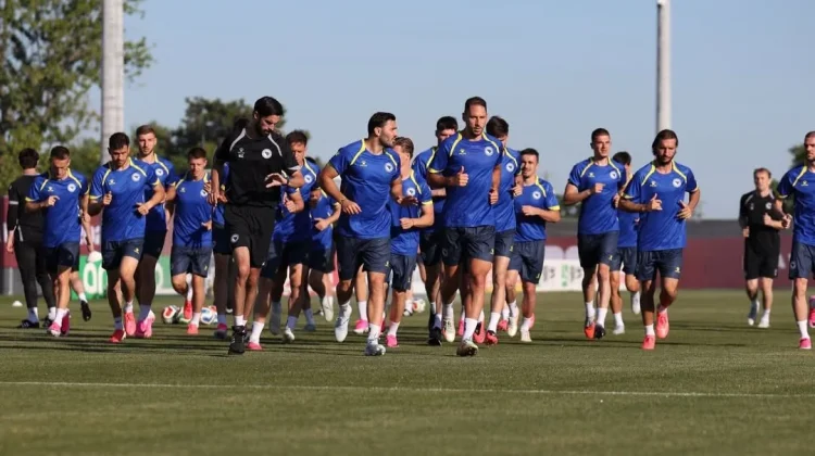 Edin Dzeko Senjata Utama Bosnia untuk Merepotkan Pertahanan Kanada