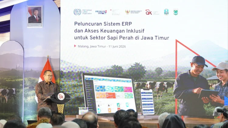 OJK dan ILO Luncurkan Sistem Digital, Perluas Akses Pembiayaan Peternak Sapi Perah