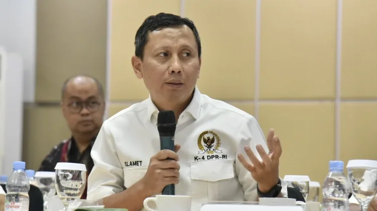 DPR Dorong Sosialisasi Diversifikasi Pangan Berbasis Komoditas Lokal