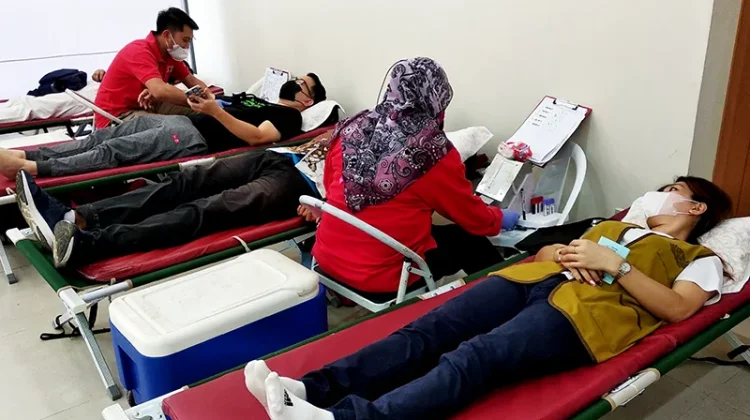 Diperingati Setiap 14 Juni, Ketahui Sejarah Hari Donor Darah Sedunia