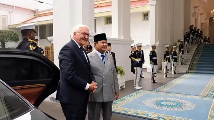 Profil Frank-Walter Steinmeier, Presiden Jerman yang Kunjungi Indonesia