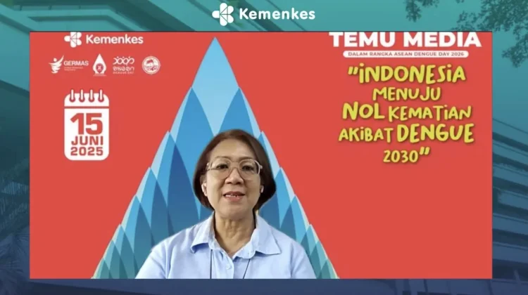 Kemenkes Targetkan Nol Kematian DBD pada 2030