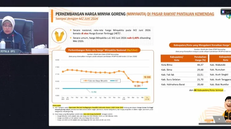 BPS: Harga Minyakita Turun tapi Masih di Atas HET