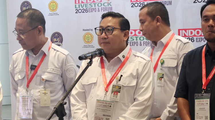 Kementan Kurangi Jumlah Impor Domba dan Kambing