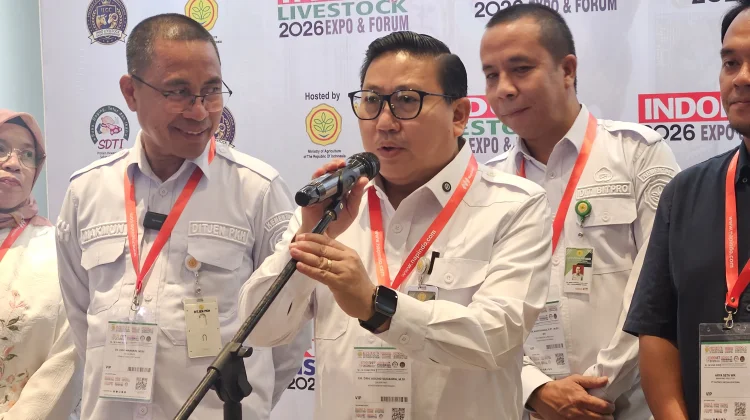 Kementan Akui Produksi Susu Nasional Baru Capai 20 Persen