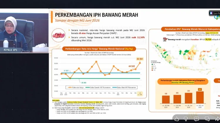 BPS: Harga Bawang Merah Naik Pekan Kedua Juni