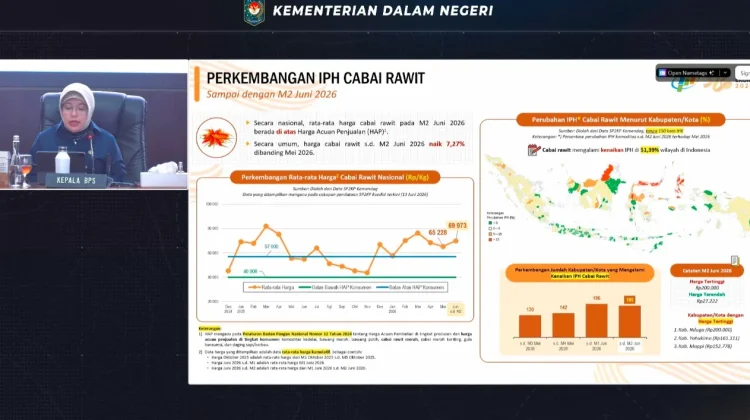 BPS: Harga Cabai Rawit Masih Tinggi Pekan Kedua Juni