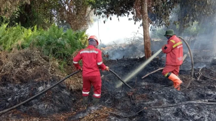 Karhutla di Riau Capai 15 Ribu Hektare