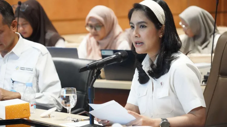 BKKBN Pastikan Layanan KB Pascapersalinan Optimal di Denpasar