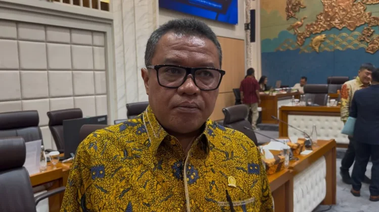 Legislator Ini Berharap Timnas Jerman  Juara di Piala Dunia 2026