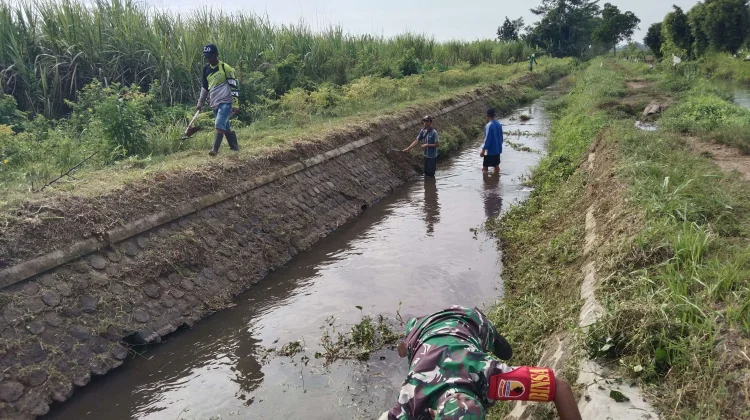 Kementan Perkuat Irigasi Hadapi Ancaman El Nino