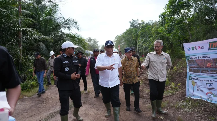 Cegah Karhutla, KLH Genjot Sekat Kanal di Riau