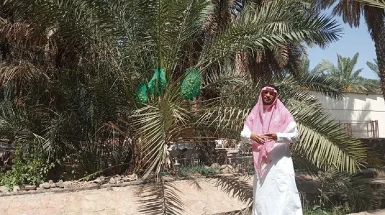 Menengok Kebun Kurma di Madinah yang Memikat Jemaah Dunia