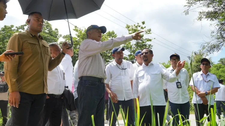 Menteri PU Tinjau Beberapa Infrastruktur Dasar Pascagempa di Sulawesi Tengah