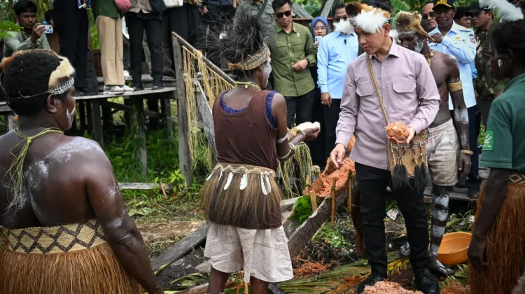 Wapres Tinjau Sekolah Lapang Sagu Asmat Dukung Hilirisasi Komoditas Tanah Papua
