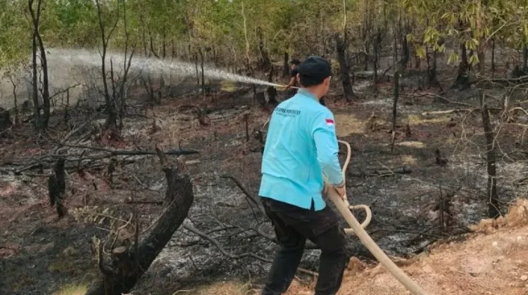 BNPB Minta Pemda Perketat Patroli Hadapi Kekeringan dan Karhutla