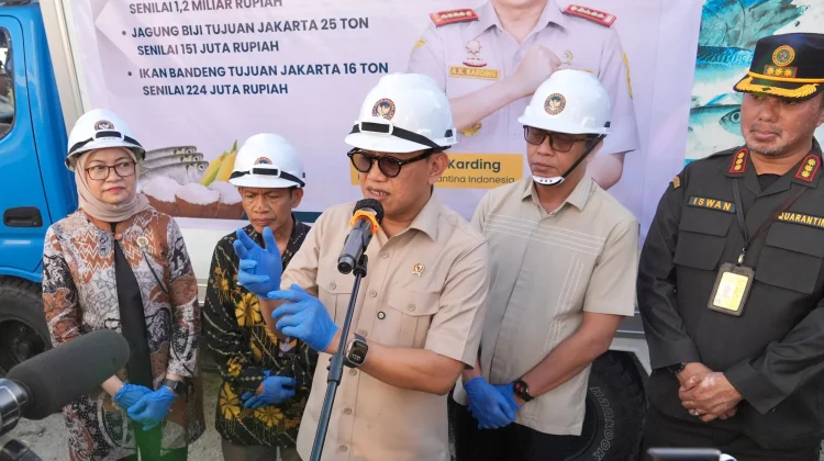 Kelapa Parut Gorontalo Tembus Pasar Eropa, Barantin Beri 'Karpet Merah' Hilirisasi