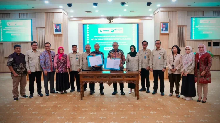 Kemenkop Ultimatum Ekspor Gambir ke India-Pakistan