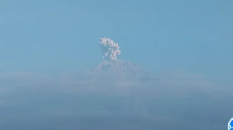 Semeru Erupsi, Kolom Abu Capai 600 Meter di Atas Puncak