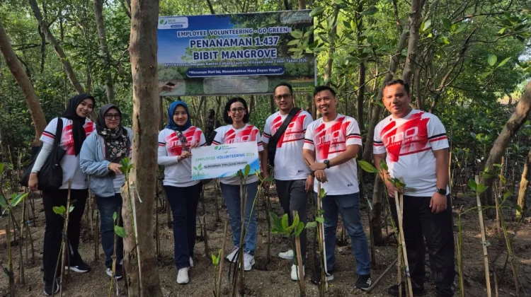 BPJS Ketenagakerjaan Tanjung Perak Tanam 1.437 Mangrove, Jaga Pesisir Surabaya