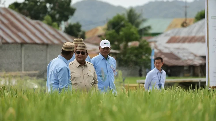 Presiden Prabowo Buka Ekspor Pangan Bersyarat, Asal Petani Tak Boleh Rugi