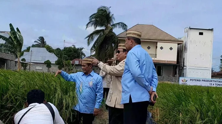 Presiden Prabowo Tinjau Teknologi Pertanian Modern di PENAS Petani-Nelayan