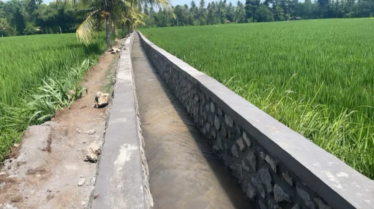 Kementerian PU Mulai Program P3-TGAI 2026 untuk Perkuat Irigasi Bali