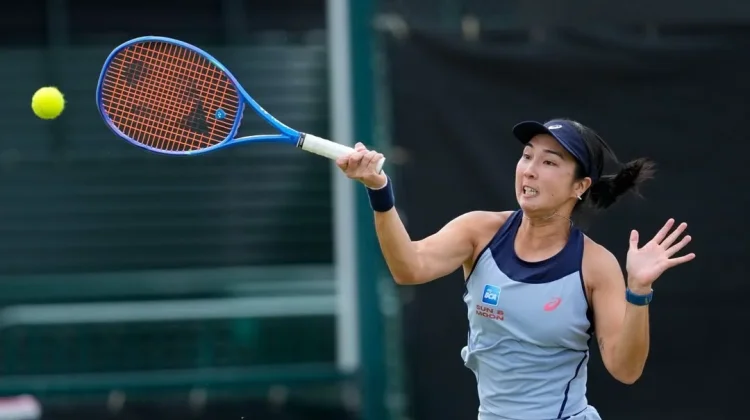 Aldila/Zvonareva Melaju ke Semifinal Bad Homburg Open