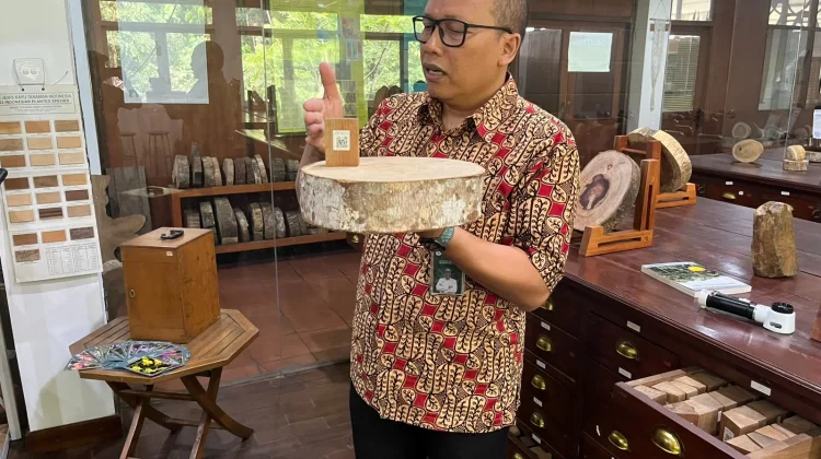 Kemenhut: Pemanfaatan Hutan Kunci Menjaga Kelestarian, Bukan Merusaknya