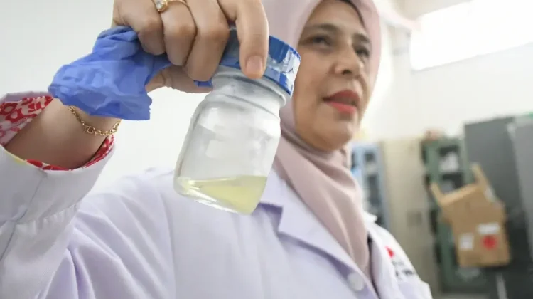 BRIN Kembangkan Limbah Sawit Jadi Minyak Biomassa
