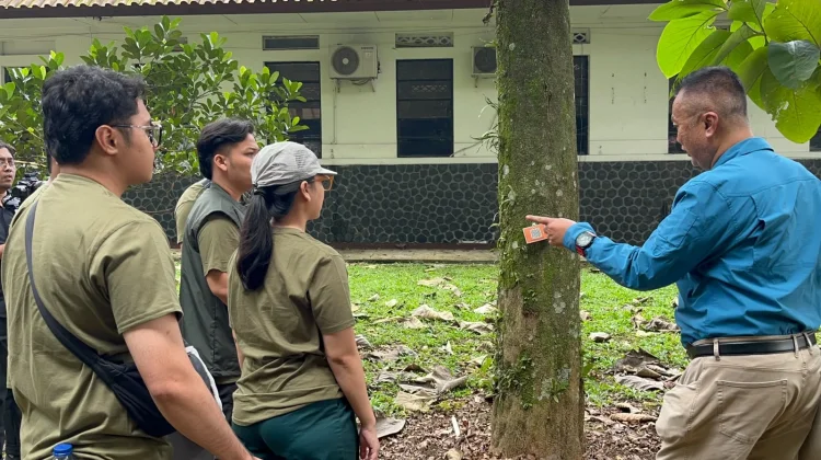 Gaharu Disebut Berpotensi Dongkrak Pendapatan Warga